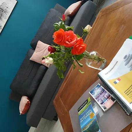 Ty'brestoise Proche Centre - Jardin- Parking Gratuit Apartamento Brest