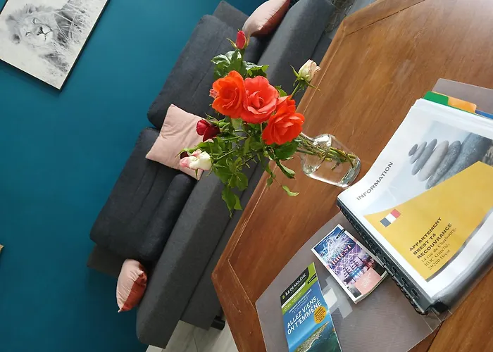 Ty'brestoise Proche Centre - Jardin- Parking Gratuit 公寓 布雷斯特